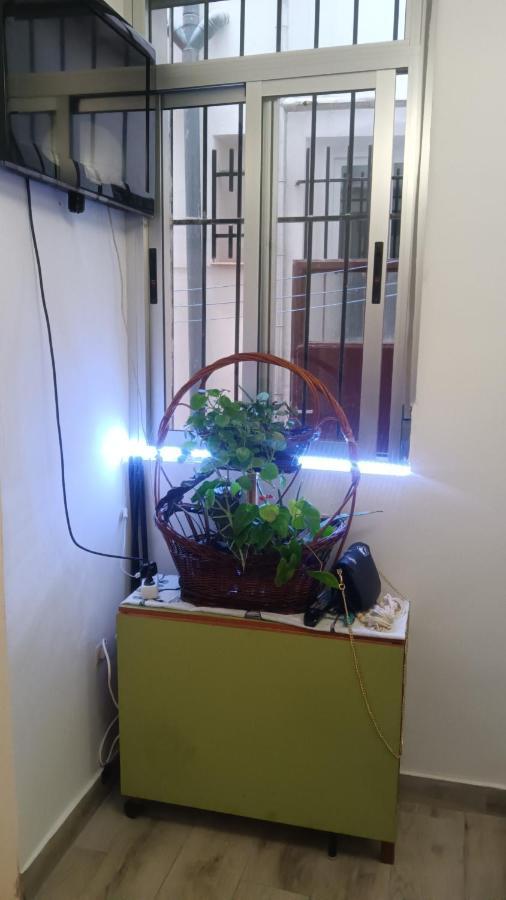 Apartamento Alicia Madrid Esterno foto
